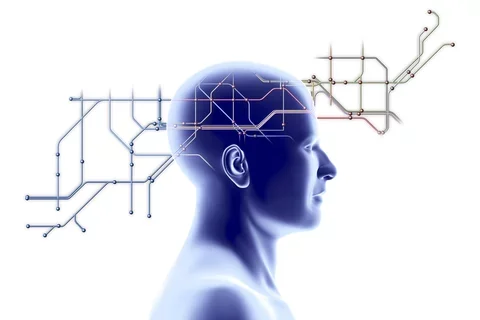 Sillhouette of a person with a transit map overlaid on their brain.